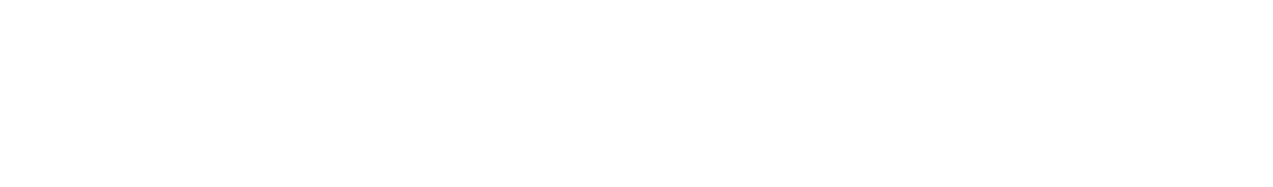 Tecnoportátil SAS